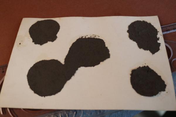 Foto - Orchester und Chor - Musikdarbietung der Deutschen Arbeits Front